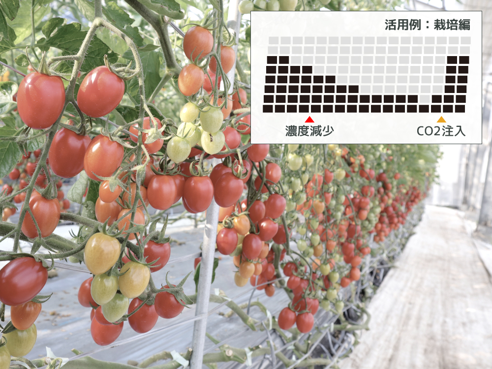 二酸化炭素濃度トレンドモニター二酸化炭素濃度（CO2濃度）を計測するメリット画像